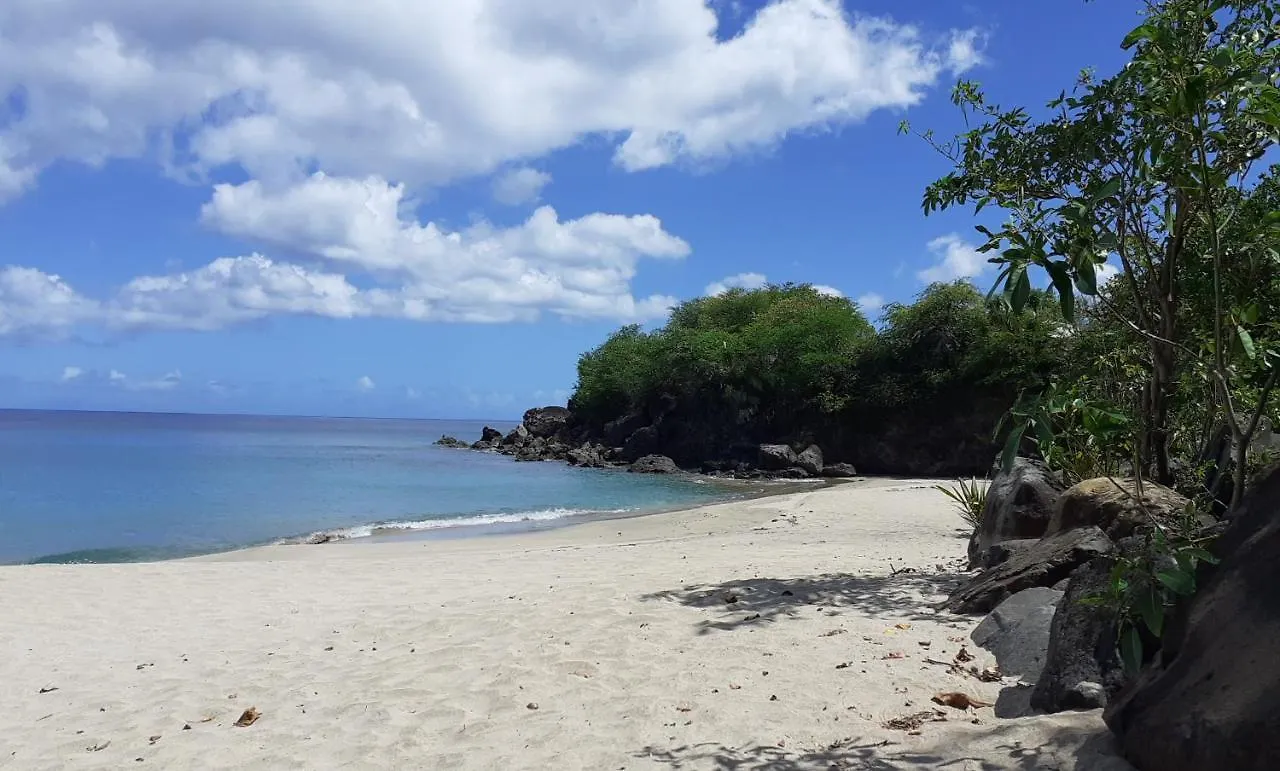 Villa Yekrik-Yekrak - Vue Exceptionnelle Sur La Mer Des Caraibes Deshaies